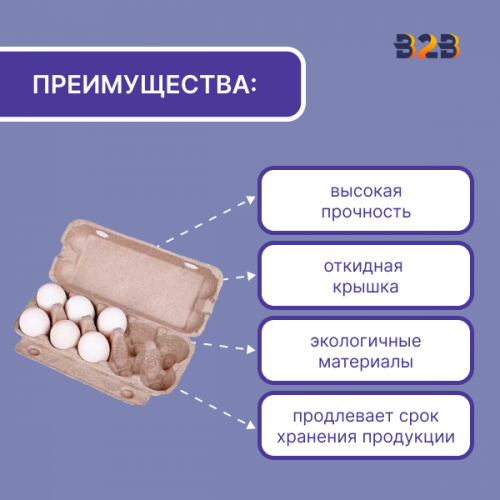 Упаковка для куриных яиц, 10 ячеек (картон)